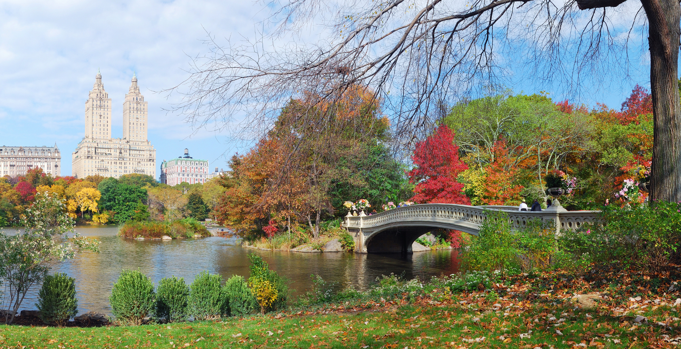 red green and orange trees in central park in NYC during autumn