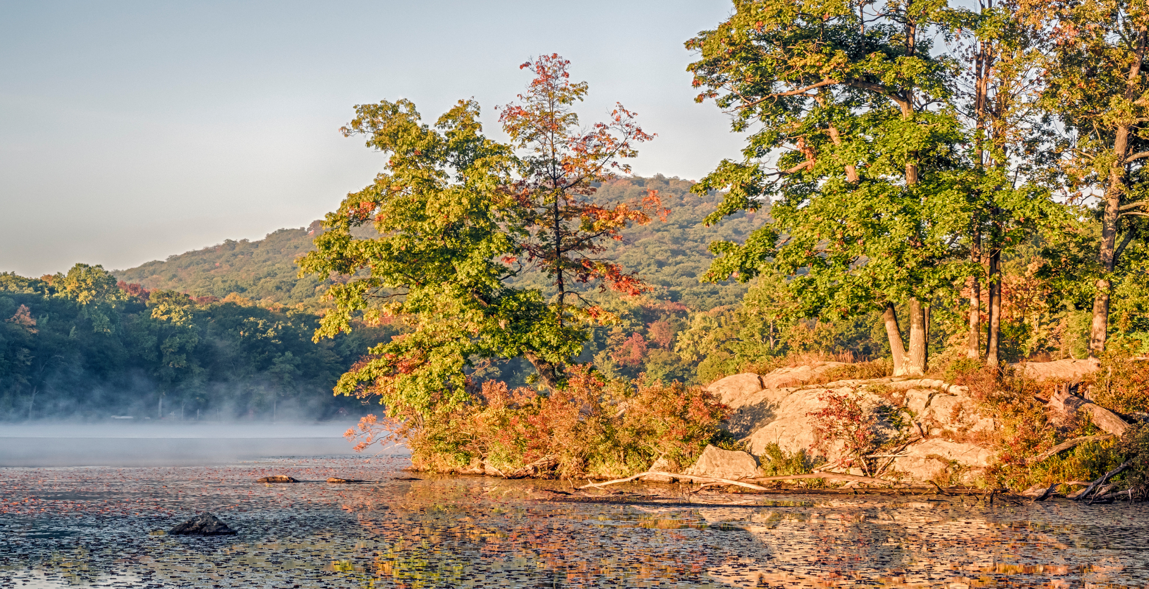 Trees over a lake at Harriman State Park, New York