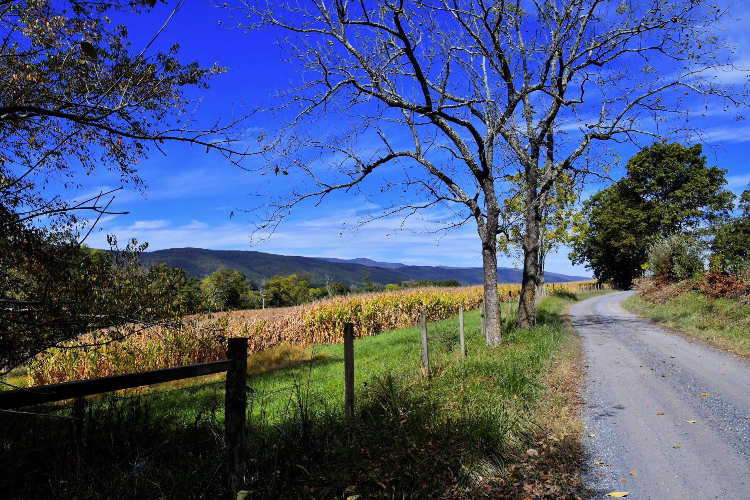 virginia back road during autumn in virginia countryside