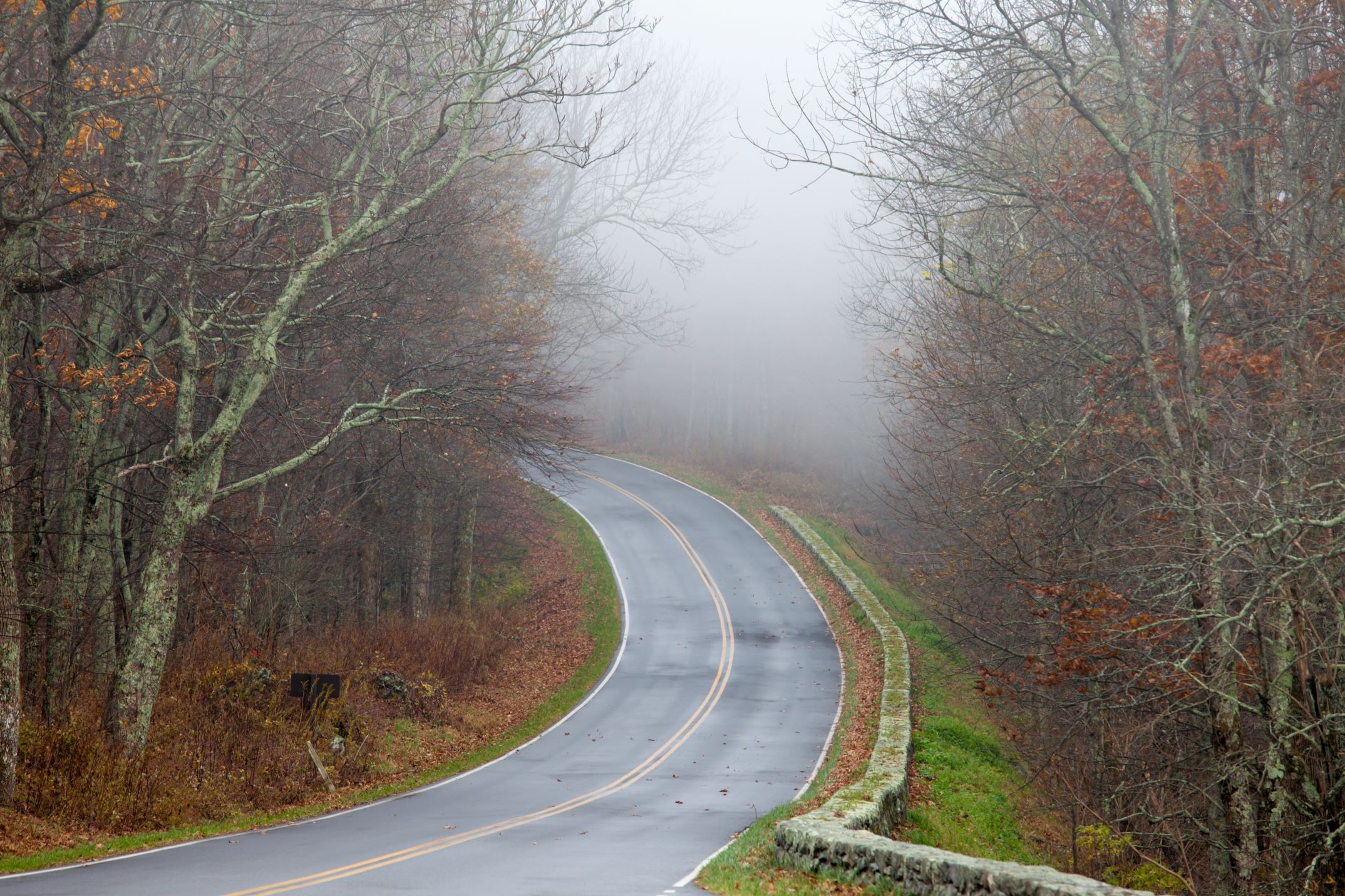 virginia skyland drive blue ridge road with fog